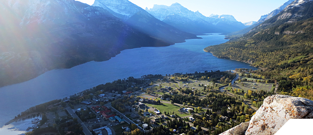 research areas header